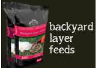 Organic Backyard Course Layer Grain Mix - 20kg